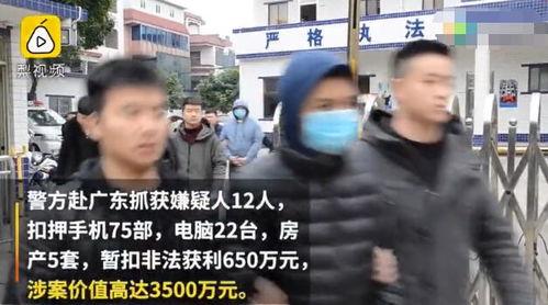 午夜成人小视频成人网站,网站背后的秘密与影响