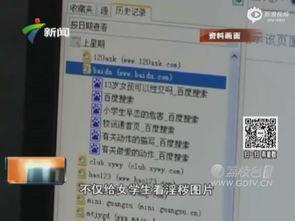 成人视频网站在线播放观看视频,在线观看体验全解析