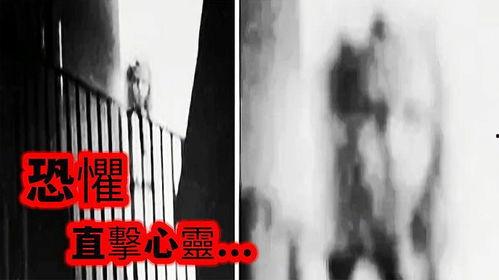 猎奇视频成人,揭秘网络暗流涌动的秘密